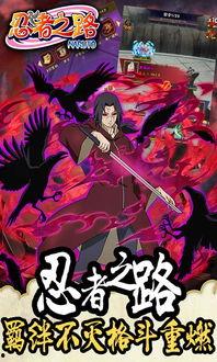 忍者之路最新爆料,揭秘神秘忍者组织的崛起与挑战